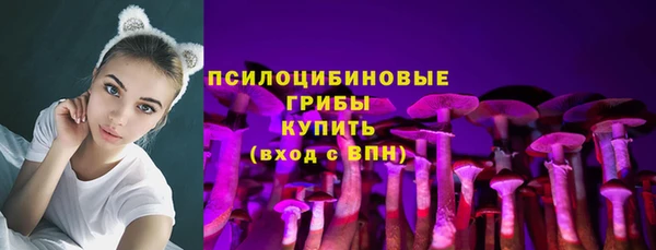 PSILOCYBIN Бугульма