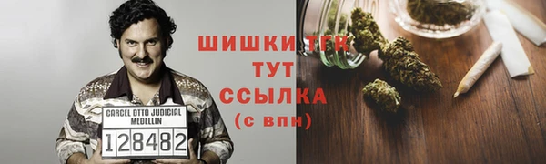 ПСИЛОЦИБИНОВЫЕ ГРИБЫ Богородицк