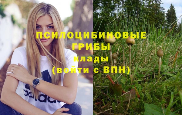 2c-b Бронницы