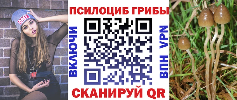 Купить где  Покров  Галлюциногенные грибы Magic Shrooms 