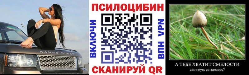 Галлюциногенные грибы Psilocybe Покров